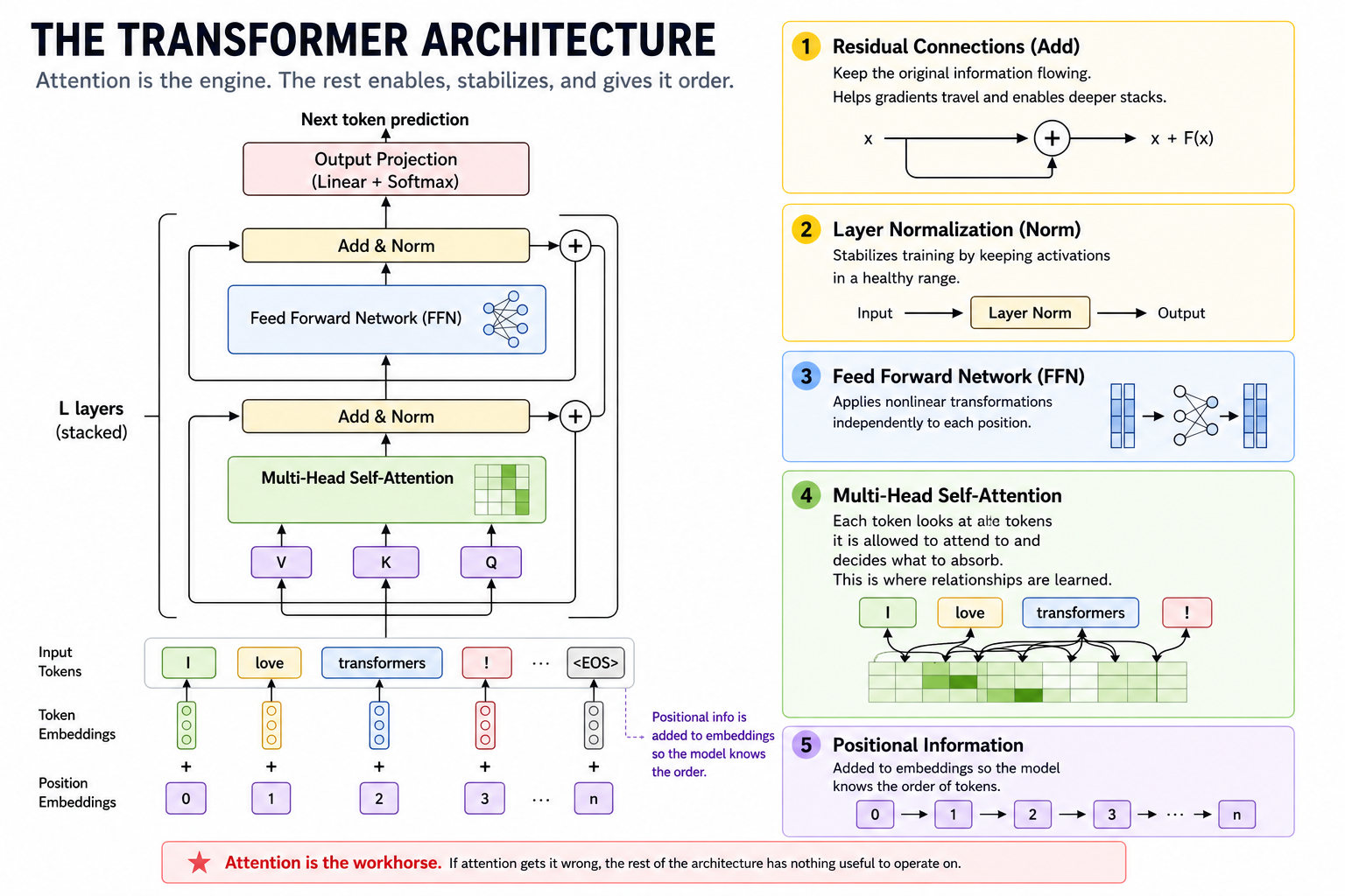 Diagram of the transformer architecture showing token and positional embeddings, multi-head self-attention, feedforward networks, residual connections, layer normalization, and output projection for next-token prediction